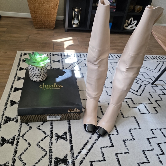 GORGEOUS Charles David Over-the-Knee Terrell Boots- New! Never Worn! - Picture 3 of 11